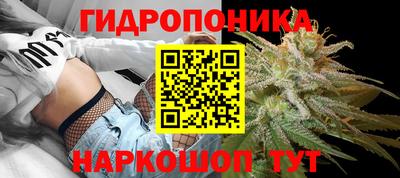ПСИЛОЦИБИНОВЫЕ ГРИБЫ Дубна