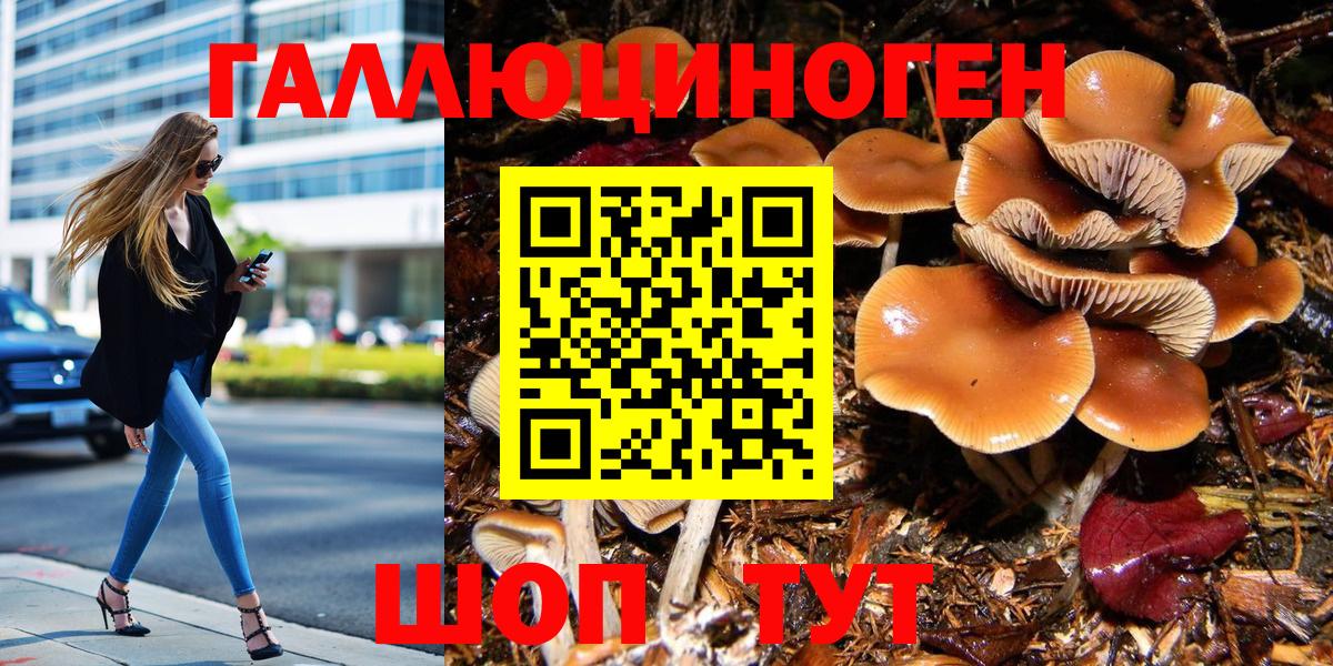 Галлюциногенные грибы мухоморы Чита